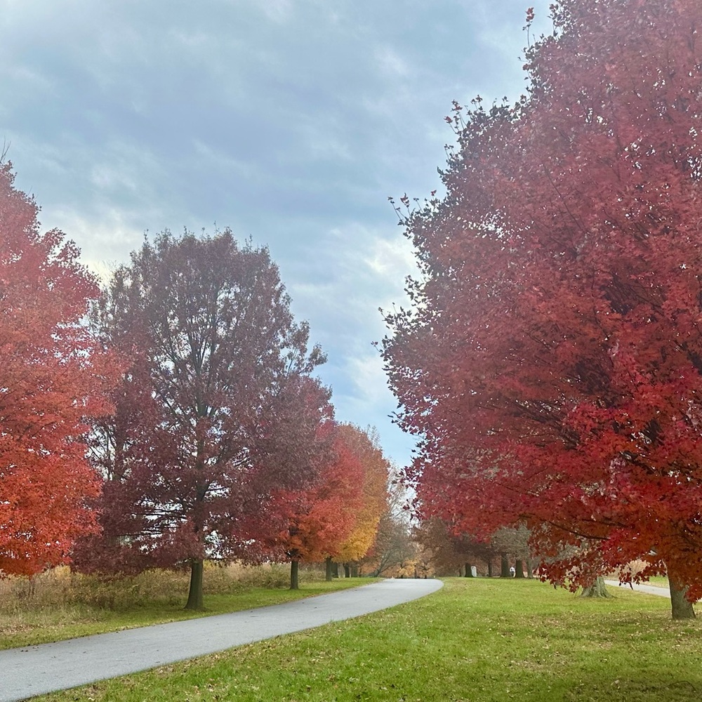 Meet your Posher, Karen